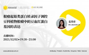 中科院助理研究员姜苏育：根瘤起始类蛋白转录因子调控豆科植物根瘤中的豆血红蛋白基因的表达