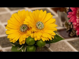 Homecoming Flower Designs with Teacher Michelle