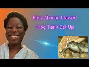 African Clawed Frog Tank Set Up | Quick Tank Set Up | Easy Tank Set Up