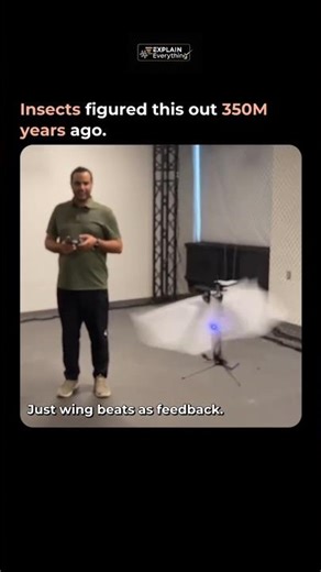 Insects Beat Engineers at Hovering! 🦋 | Bio-Inspired Flight