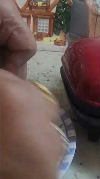 Idly in DASH Mini Cooker | Perfect for Dorms, Travel & Camping #Quick Breakfast Anywhere