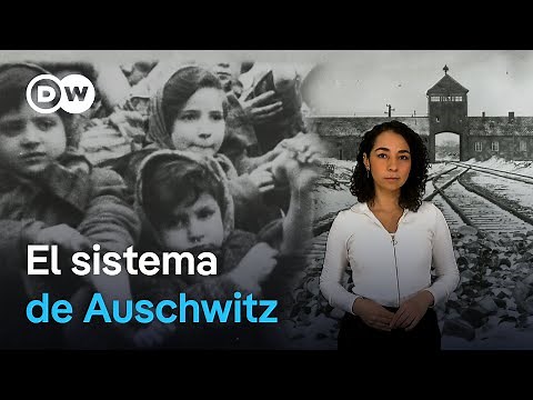 How Auschwitz Worked: The Largest Nazi Concentration and Extermination Camp