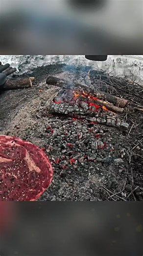 Essential Camping Cooking Tips for Outdoor Enthusiasts