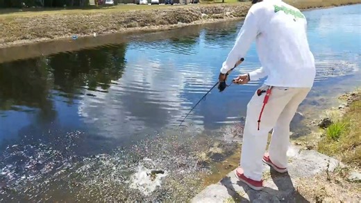 The invasive predator problem - snakeheads are no joke