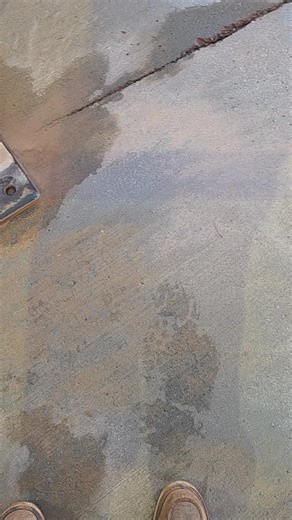 Luscious Return for the Christmas Party Celebration