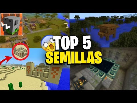 👉The 5 Best Seeds for Craftsman | Seeds for Craftsman | Craftsman👈