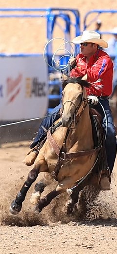 YES IM SASSY by Mr Sassy Frenchman WINs the 1st Round of the Old West Rope Horse Futurity 6 & Under Heading in Utah! Ridden by Kaleb Driggers, Owned by Neal & Jody Wanless, Trained by Dakota Kirchenschlager, Bred by Myers Performance Horses. Reel by The Hart Brand. | Frenchmans Guy