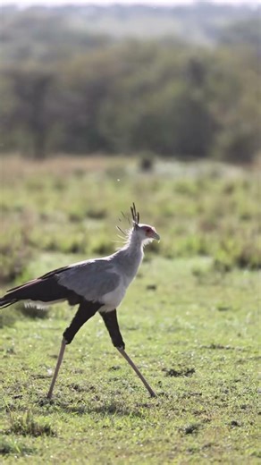 The only secretary with an attitude