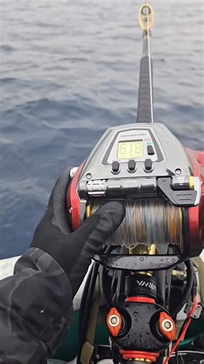 アングラーズ奈良橿原店 on Instagram: "スタッフ角田です。 串本沖、『闘龍丸』さんでの串モンチャレンジ二日目。 ヒットしたモンスターは過去最大級の重量感😱 最大150m まで出されたところでビクとも動かず、20分かけて何とか姿が見える所までリフトしましたが… やたらと長い（3m 近い⁉️）魚体に上下長さの違う尾鰭… そう、巨大なアオザメ😱😱😱 『消耗した体力、返せ〜〜‼️』と叫びましたがどうしようもなく、船長がリーダーを手繰っている最中にブレイク。 てっきり60kgオーバーの通称『串モン』と思っていましたが…。まあでも、良い予行練習となり、少しの自信に繋がりました。 次回はこの経験を活かして、串モンゲットするぞ〜‼️😁 #串モン #キハダフカセ #闘龍丸 #アオザメ アングラーズ奈良橿原店"