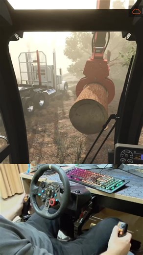 #farmingsimulator #fs25 #excavator #bagger #fyp | farming simulator