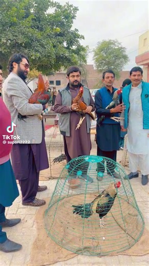 rashid Rashida (@rashid.rashida7)’s videos with original sound - شرافت جٹ