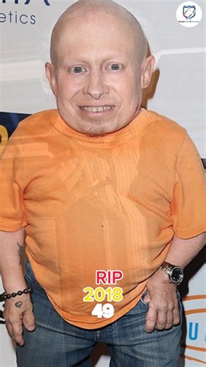 Remembering the Fallen Stars of the Harry Potter Cast. #harrypotter