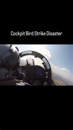 Giant Bird Strikes Jet Canopy in Dramatic Cockpit Footage