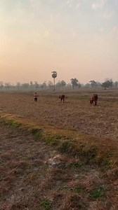 Exploring Ubon: A Journey Home to Ubon Ratchathani