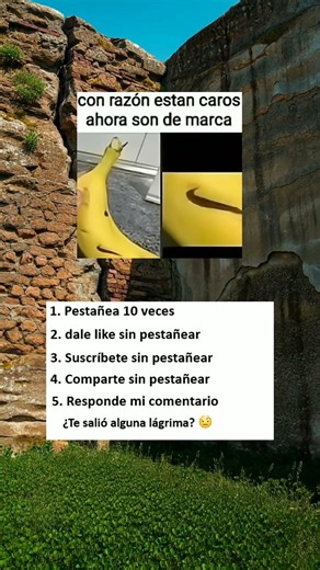 😂 Pestañea 10 veces y te hago llorar sin querer 😭