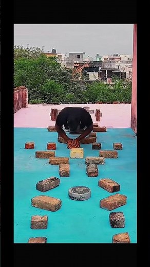 World’s Hardest Push-Up Challenge 🧱🔥 Try If You Dare! #pushupchallenge #homeworkout #viral