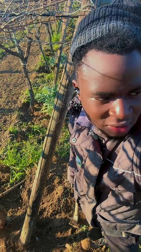 109K views · 8.9K reactions | Motivation advice | Last gate TV | Facebook