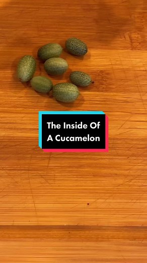 VeryGoodGardening on TikTok