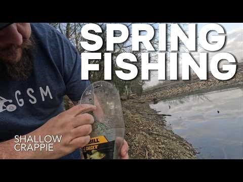 Bank Fishing for Spring Crappie (Shallow Bite is ON FIRE)