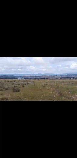 YouTube channel Hunter's point amaphisi #home of greyhounds hunting & racing vedios subscribe now | Phisi Borncie
