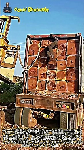 大型丸太コンテナのアンローディング工程と重機運用 #worker #process #wood #unloading #cargo