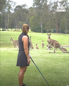 6.2M views · 49K reactions | Kangaroos invade golf course 藍輦 | LADbible Ireland | Facebook