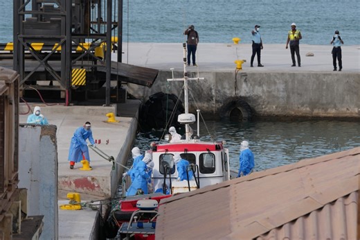 What to know about hantavirus, the illness linked to a cruise ship outbreak
