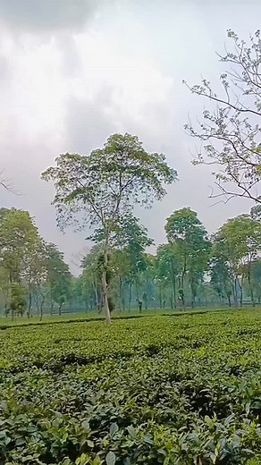 5.1K views · 7.3K reactions | Hum pyar Hai tumhare ❤️❤️❤️☘️☘️ | Nandini Naik | Facebook