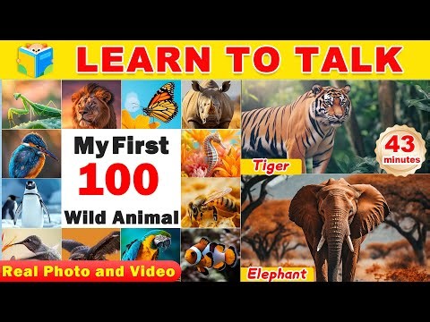 First 100 Animals of the World for Toddlers 🐯 | Learn 100 Wild Animal Names | Learn To Talk