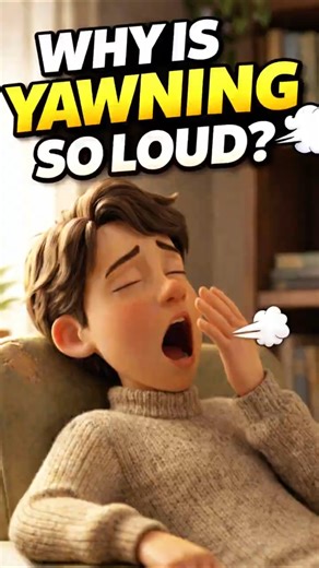 Why Do We Yawn So Loud? 😮‍💨 #everydayfacts #animatedshorts #humanbody #sciencefacts
