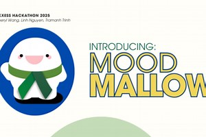 MoodMallow - Mood Tracker