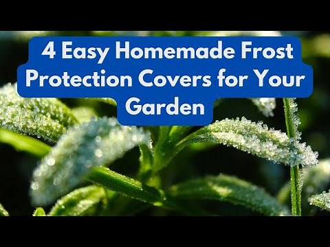 4 Easy Homemade Frost Protection Covers for Your Garden