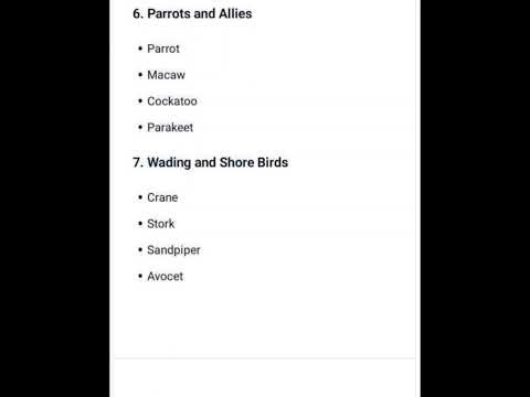 Classification of birds