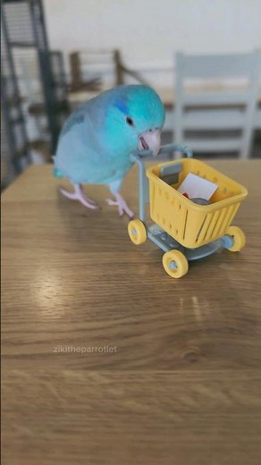 What a busy day 🐖🏦 💌