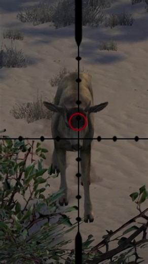 Stopped him in his tracks! #gaming #gamingontiktok #hunting #hunter #cabelas