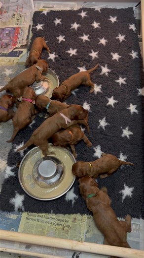 4.6K views · 196 reactions | Jilly Turner on Reels | Facebook