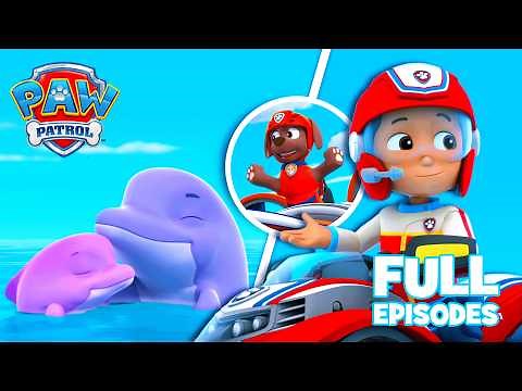 Pups Save a Dolphin Pup! 🐬🌊 | FULL Episode | PAW Patrol | Compilation