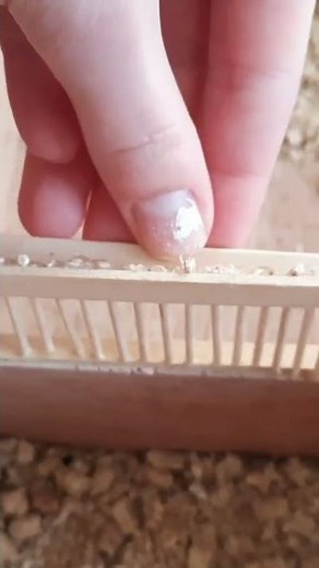 Main Barn Renovation || Upgrading The Stalls! || Part 1|| *Top Secret Project*