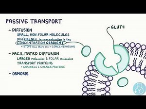 transport membranaire