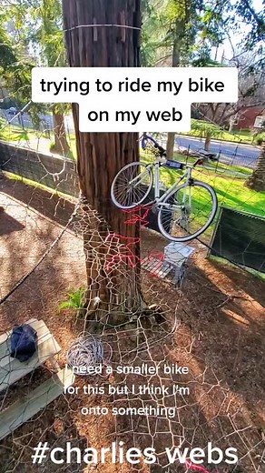 Charlies Webs (@charlies_webs)’s videos with original sound - Charlies Webs