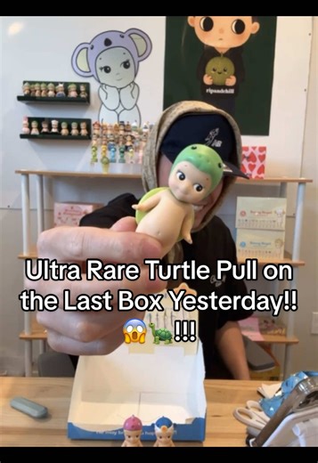 Pulled the ultra rare turtle for Cheetah on the last box yesterday 😭🎉 UN REAL #sonnyangel #sonnyangels #sonnyangelcollection #sonnyangeltok #sonnyangelunboxing @CheetahTea