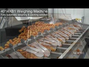 Newtec Weighing Machine, 4014XB1. Fully automatic weighing and packing solution