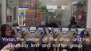 9.8K views · 109 reactions | This Blackpool shop is going from strength to strength due to its knit and natter group! | BBC Lancashire | Facebook