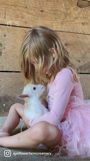 2.3K views · 324 reactions | Feeling a little low? Max singing to baby goats might help. She does this every Spring, asks who is the littlest one, then makes them up a special song! Can’t wait for all this sweetness to begin again, there is something about baby goats & humans together that makes everything feel better! | Sunflower Farm | Facebook