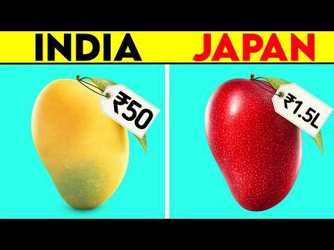 Only in Japan! 10 Mind-Blowing Expensive Fruits | JD Facts