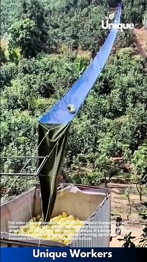 Agricultural technology: gravity-powered fruit delivery