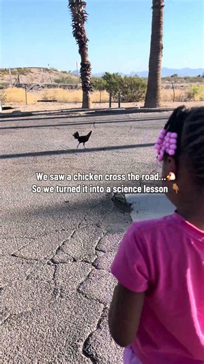 A chicken crossed the road. Here’s how we turned it into a homeschool science lesson…
