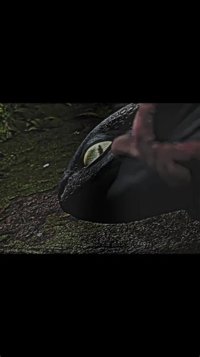 Toothless Chimuelo Reverse Edit in 4K Quality