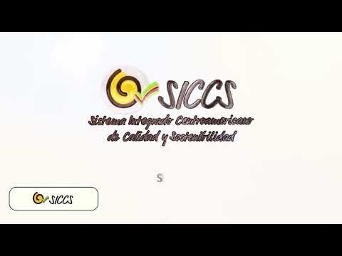 Guía para Auditores SICCS | Proceso de Auditoría en la Plataforma