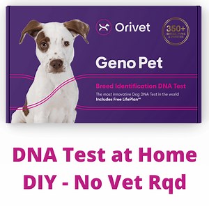 Buy Orivet Genopet- Dog DNA Breed ID Test Kit   Life Plan | Aussie Vet Products